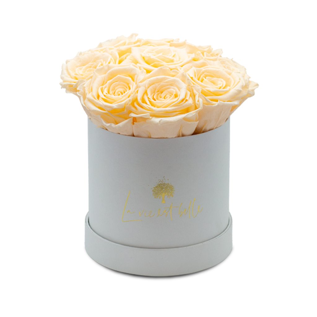 Apricot Elegance (večne vrtnice) - slika 76