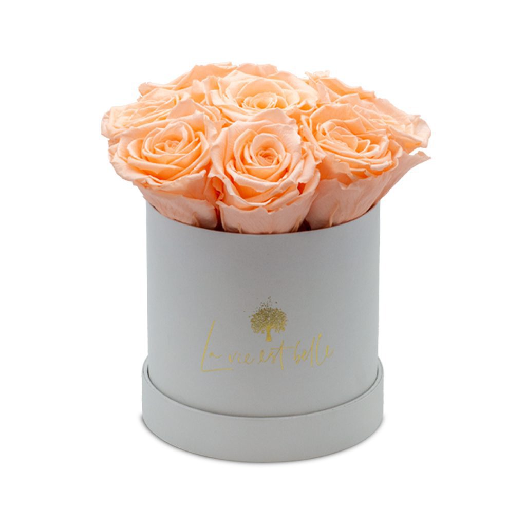 Apricot Elegance (večne vrtnice) - slika 78