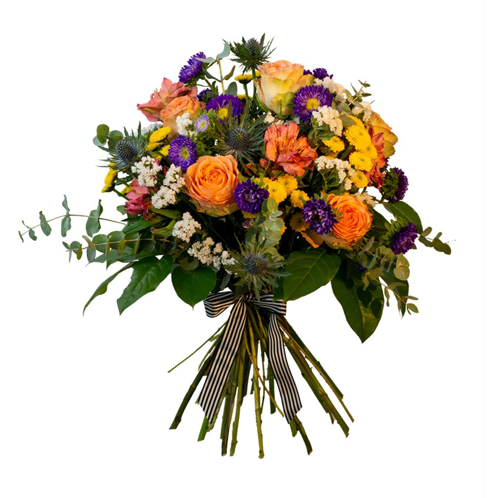 Apricot Elegance (večne vrtnice) - slika 86