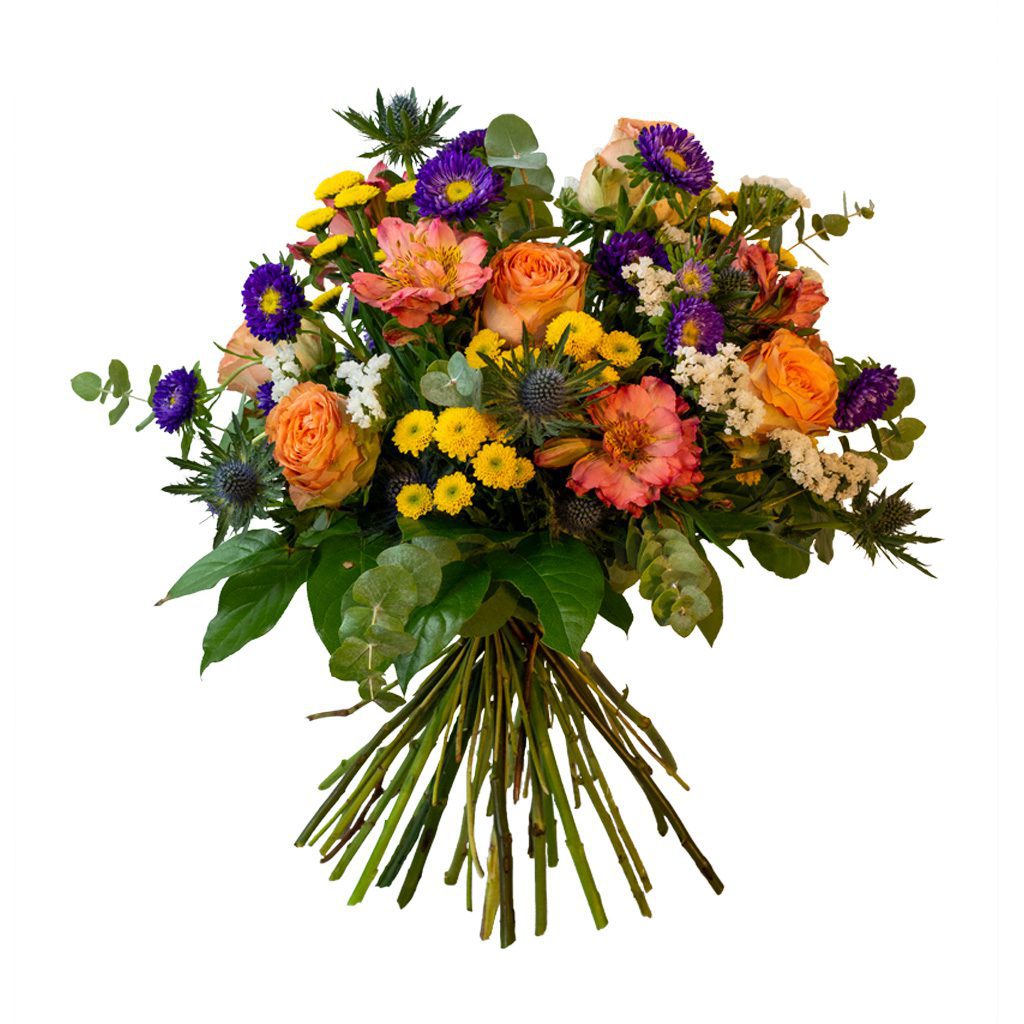 Apricot Elegance (večne vrtnice) - slika 87