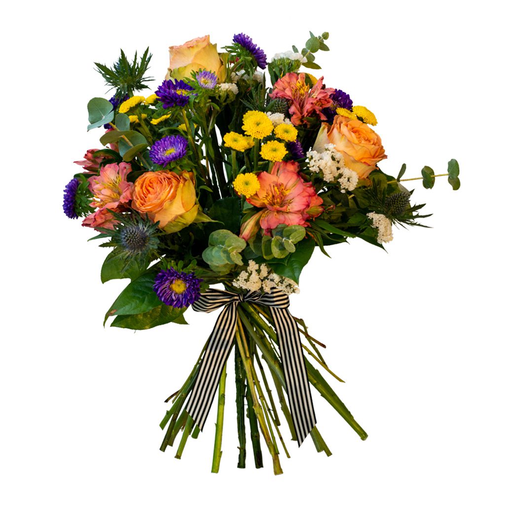 Apricot Elegance (večne vrtnice) - slika 88