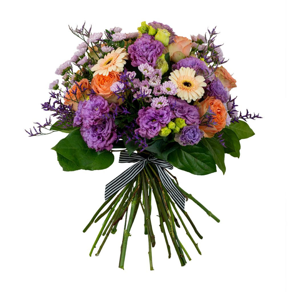 Apricot Elegance (večne vrtnice) - slika 91