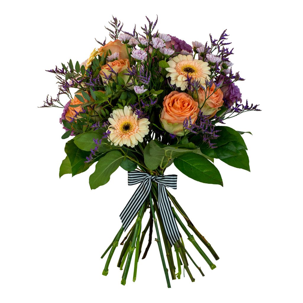 Apricot Elegance (večne vrtnice) - slika 92
