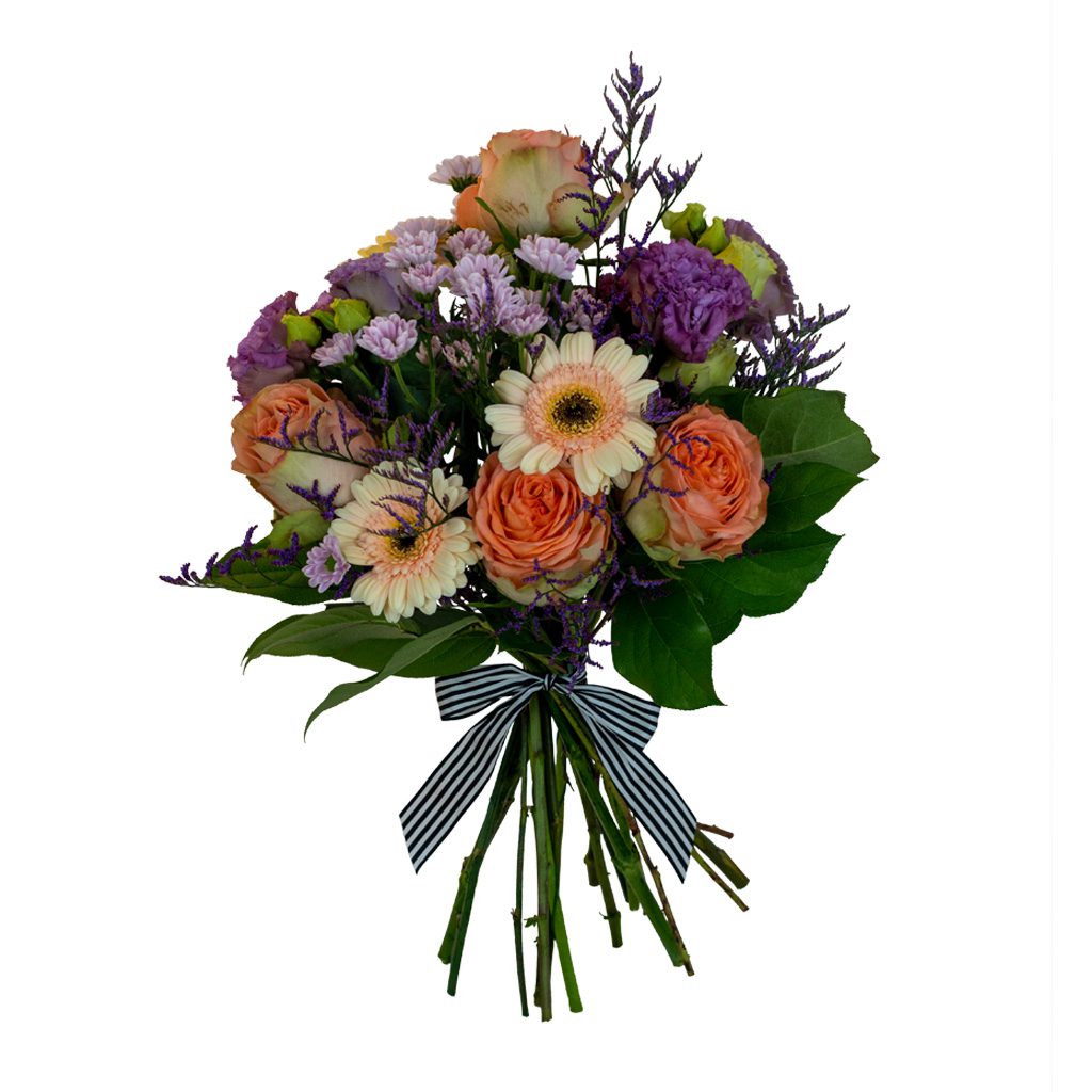 Apricot Elegance (večne vrtnice) - slika 93