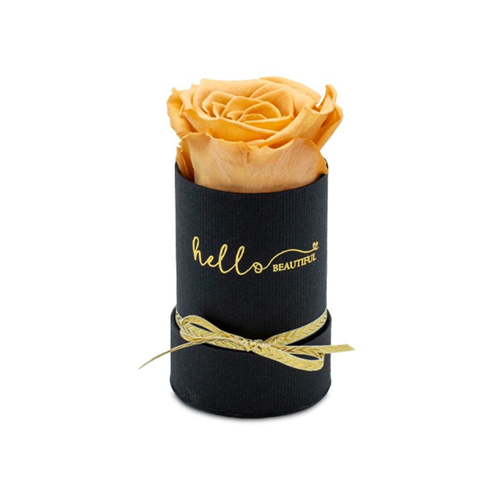 Apricot Elegance (večne vrtnice) - slika 97