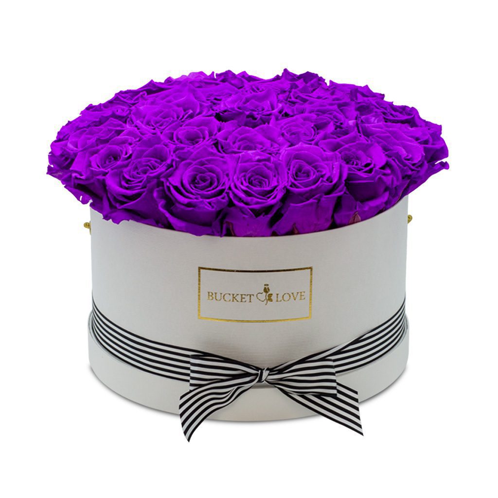 Apricot Elegance (večne vrtnice) - slika 116