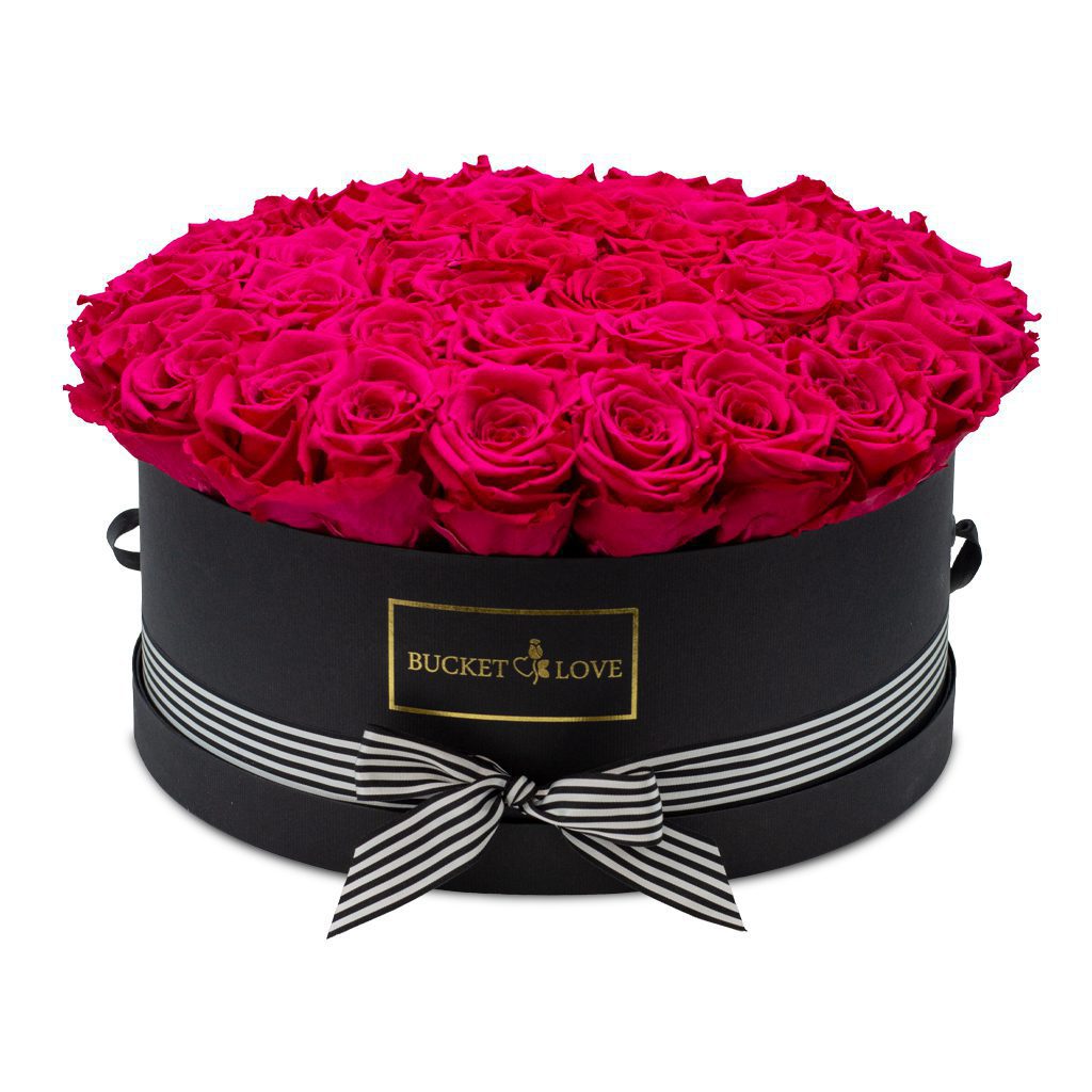 Speechles (Forever Roses) – image 8