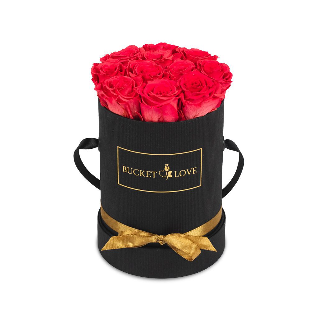 Speechles (Forever Roses) – image 7