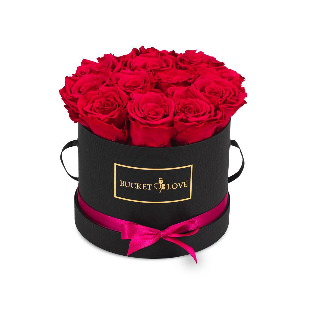 Speechles (Forever Roses) – image 6