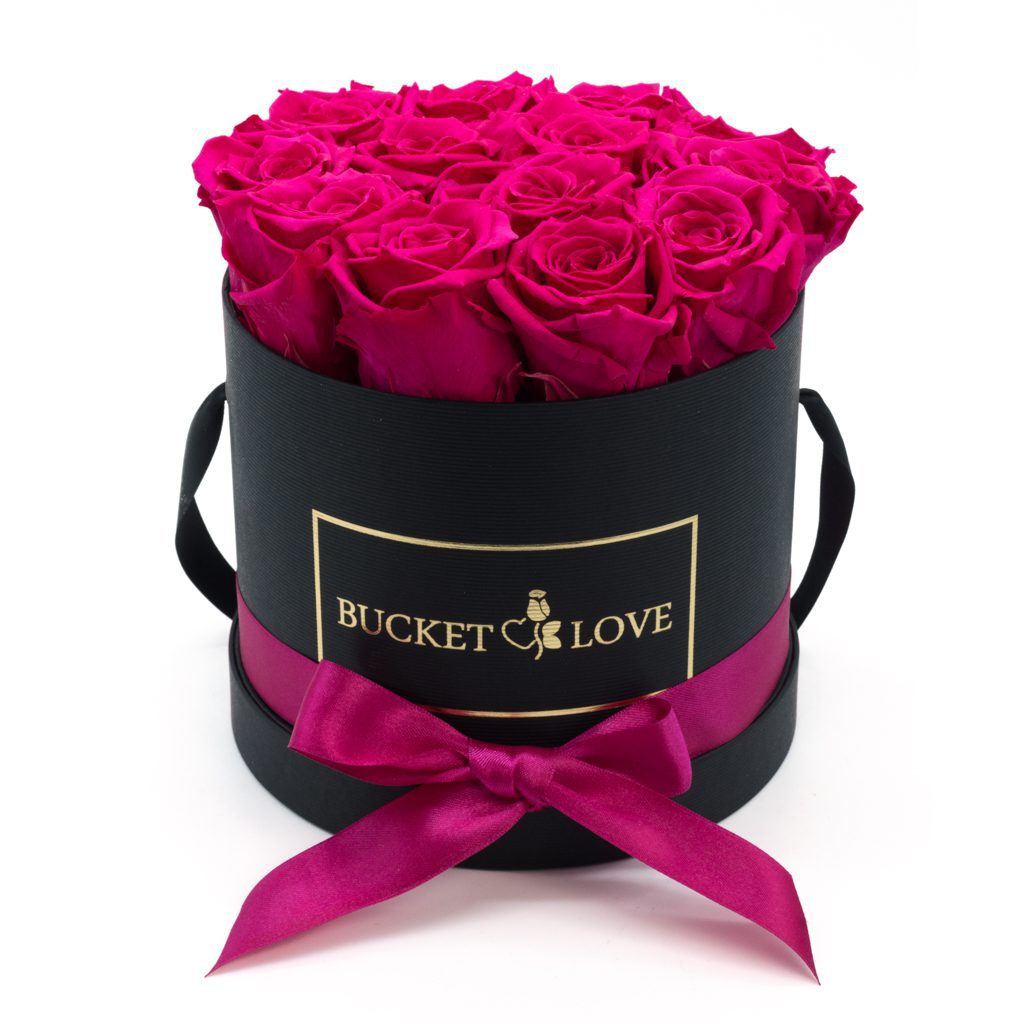 Speechles (Forever Roses) – image 5