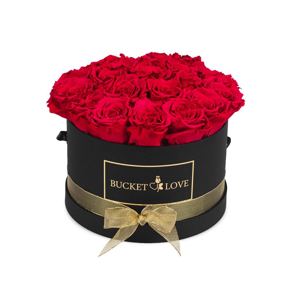 Speechles (Forever Roses) – image 4