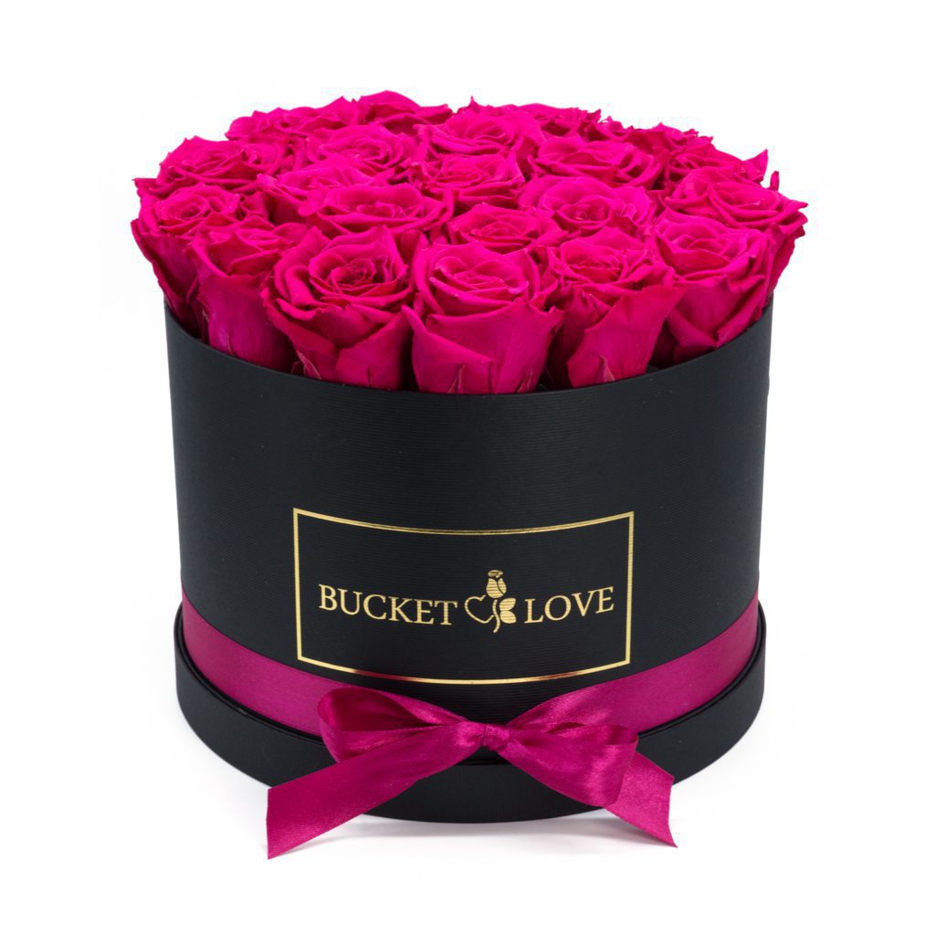 Speechles (Forever Roses) – image 3
