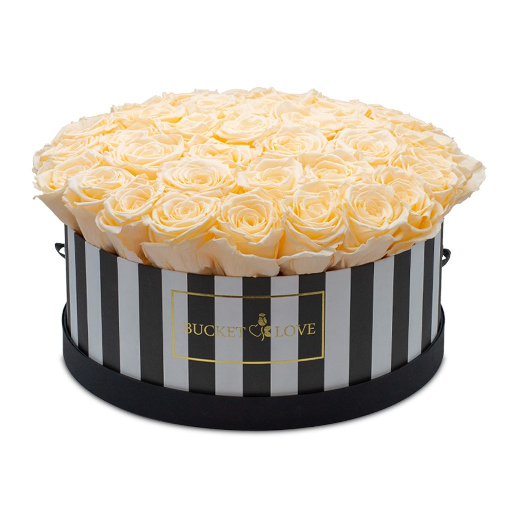 Apricot Elegance (večne vrtnice) - slika 140