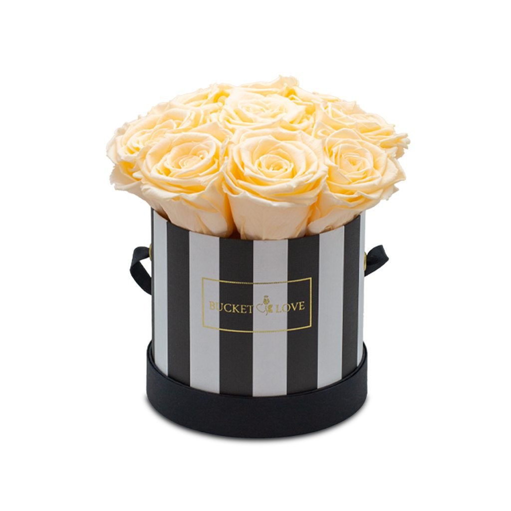 Apricot Elegance (večne vrtnice) - slika 137