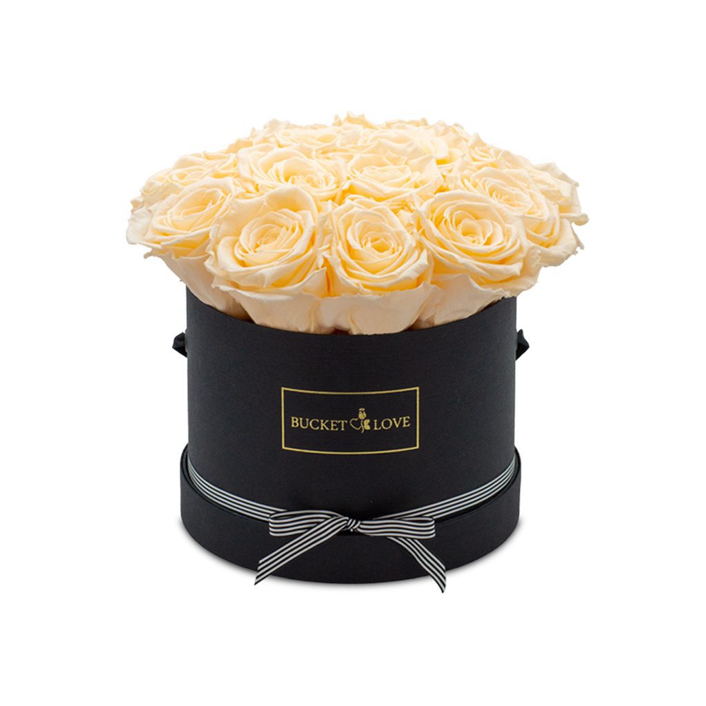 Apricot Elegance (večne vrtnice) - slika 150