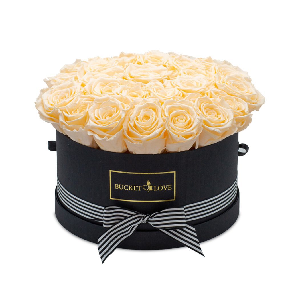 Apricot Elegance (večne vrtnice) - slika 152