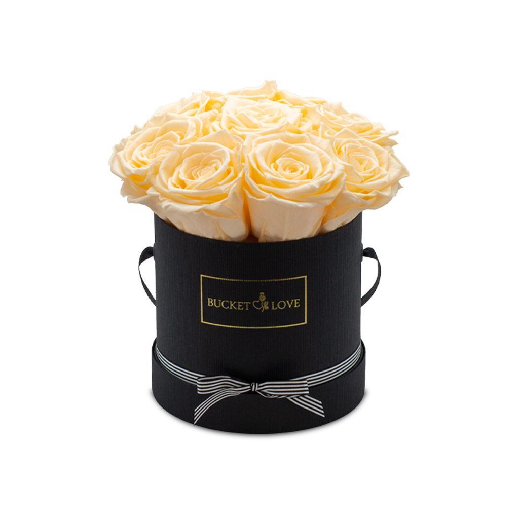Apricot Elegance (večne vrtnice) - slika 149