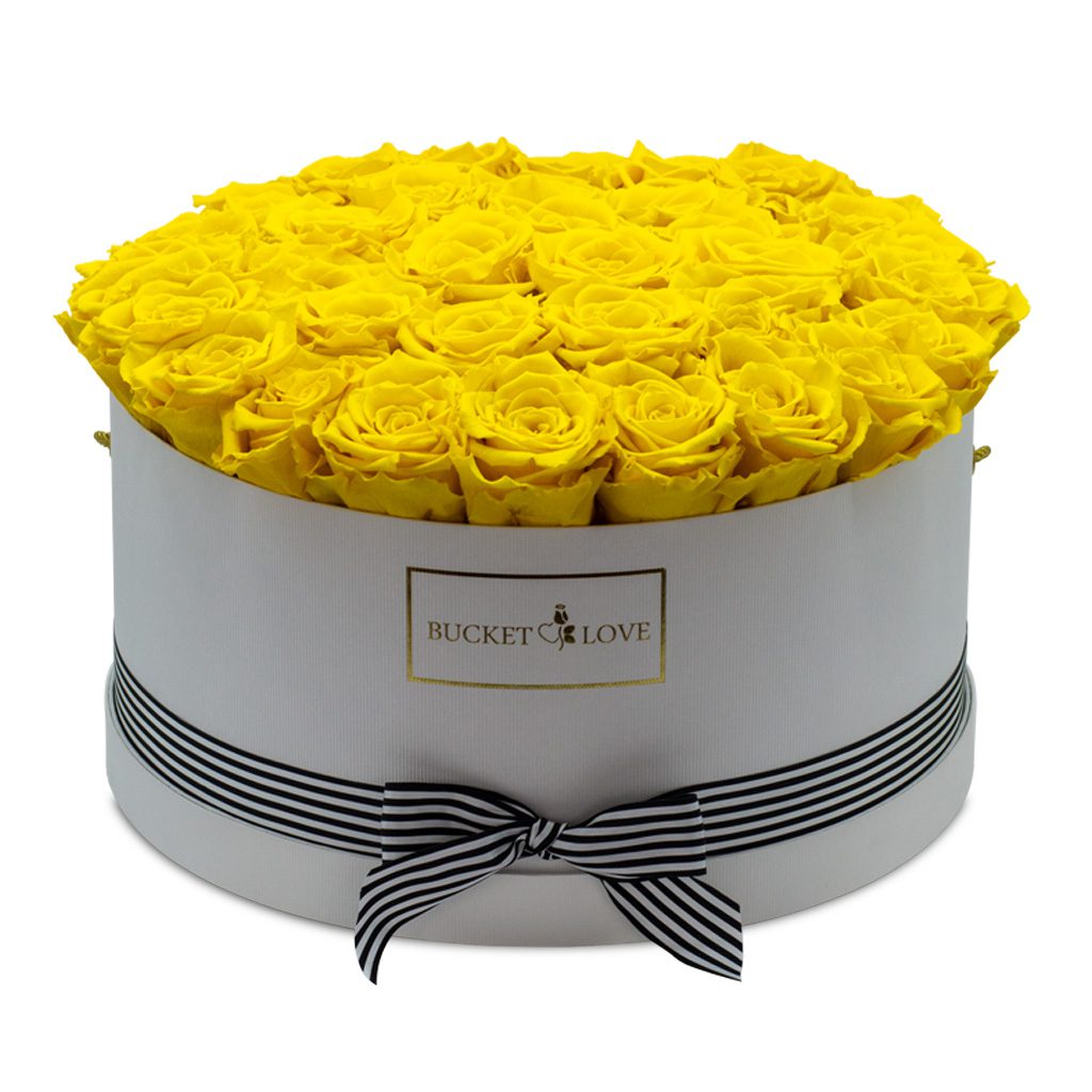 Apricot Elegance (večne vrtnice) - slika 157