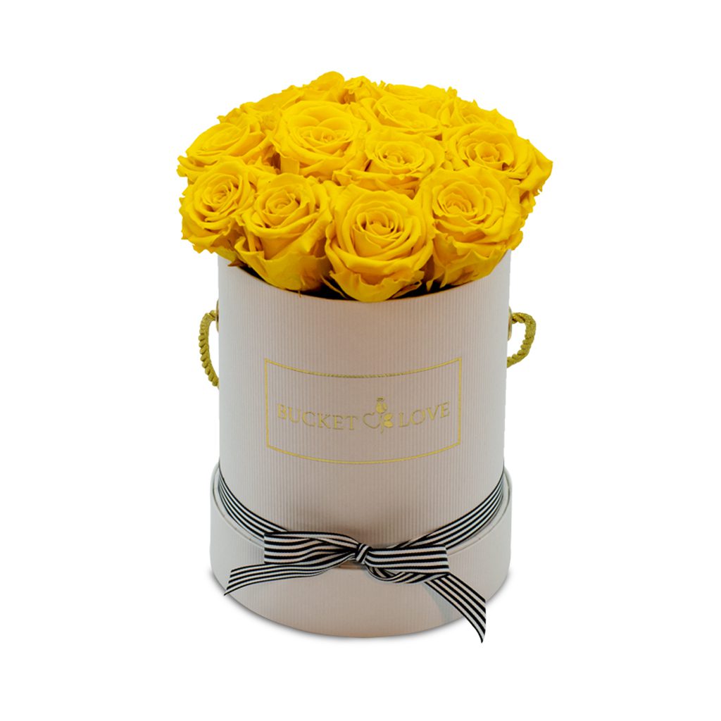 Apricot Elegance (večne vrtnice) - slika 154