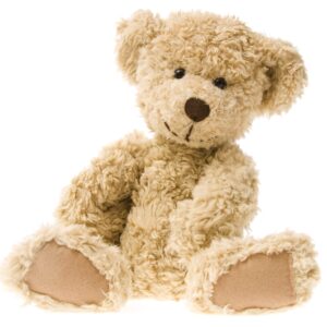 Teddy bear