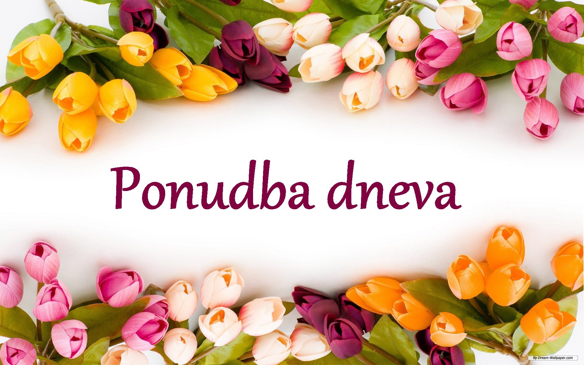 Ponudba dneva - dostava šopka po izbiri cvetličarja - slika 11