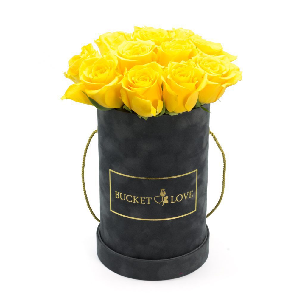 The most beautiful (fresh roses) – image 12
