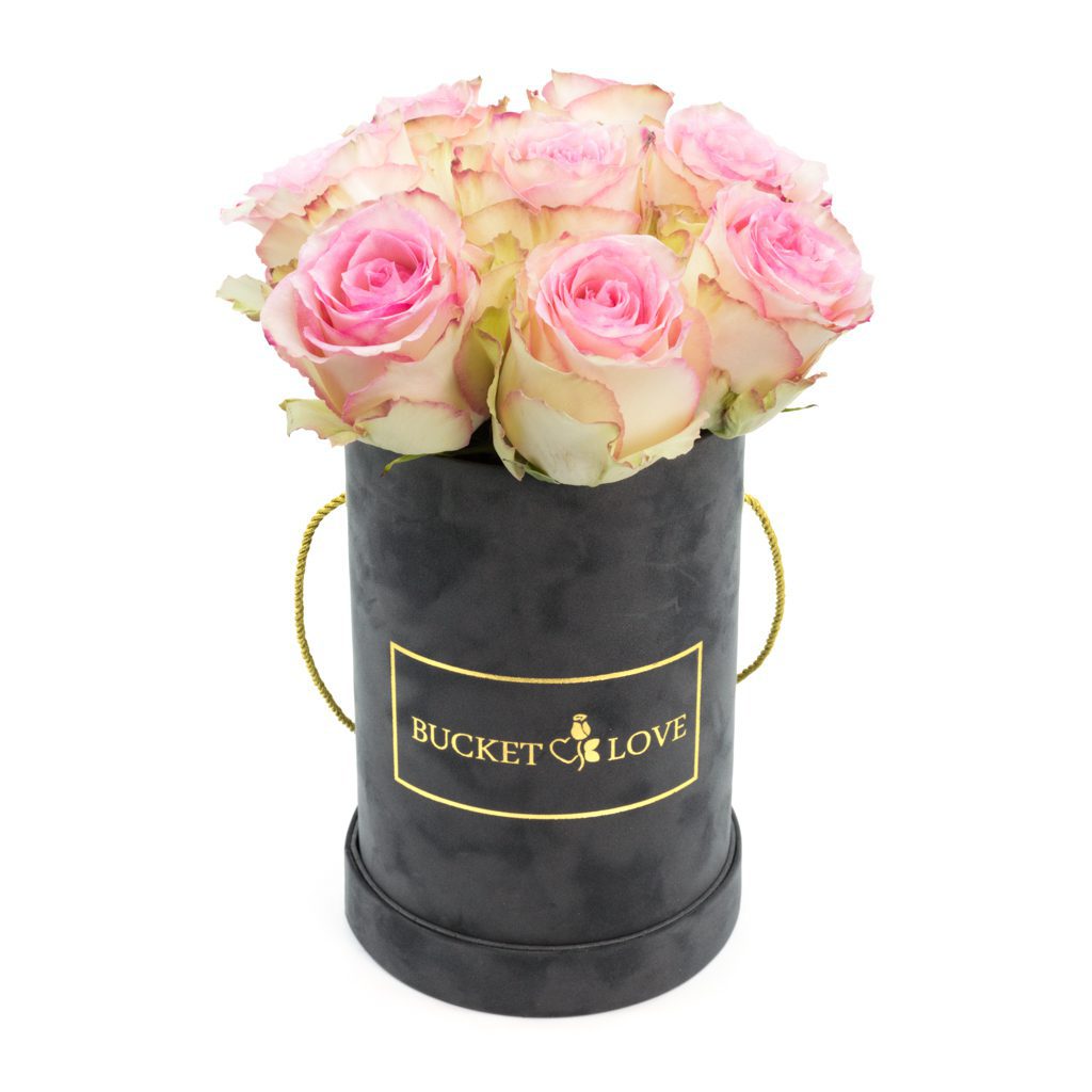 The most beautiful (fresh roses) – image 13